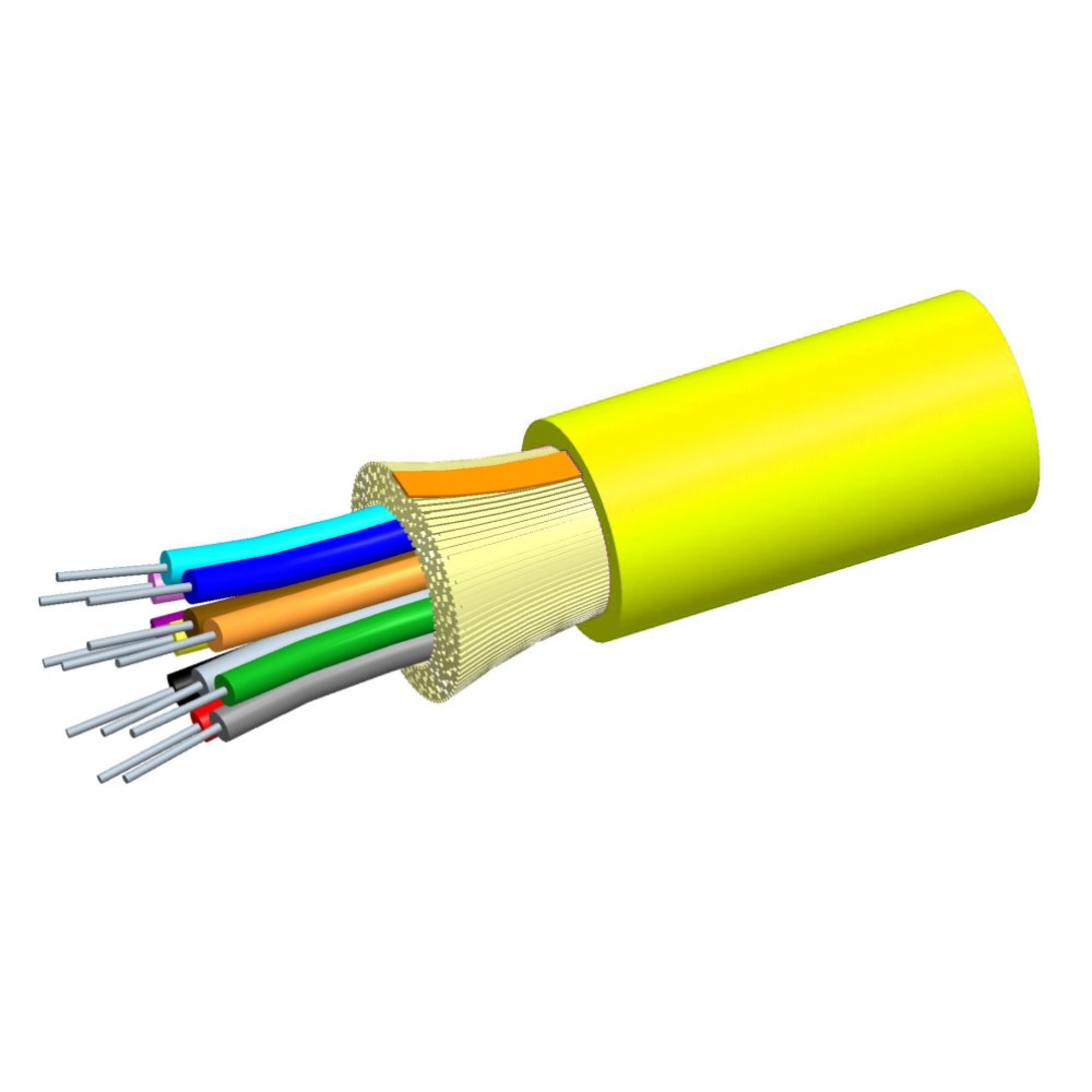 CMS-760004424_1 - 41919de9-f7f6-4112-b694-50f9991fb253.jpg